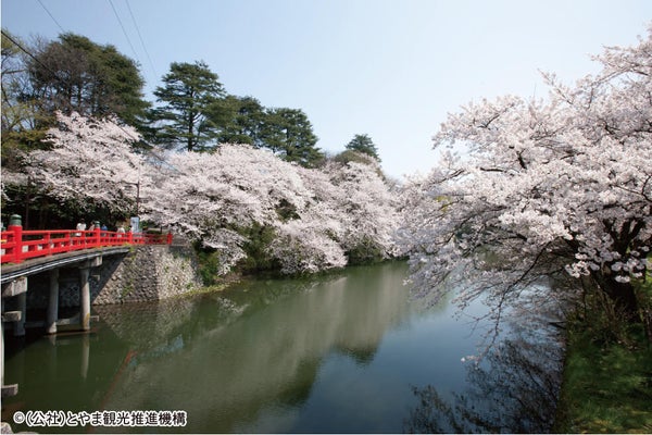 <富山>富山に春を告げる奇跡の光景!あさひ舟川「春の四重奏」♪ 2日間【明石・三宮出発】2